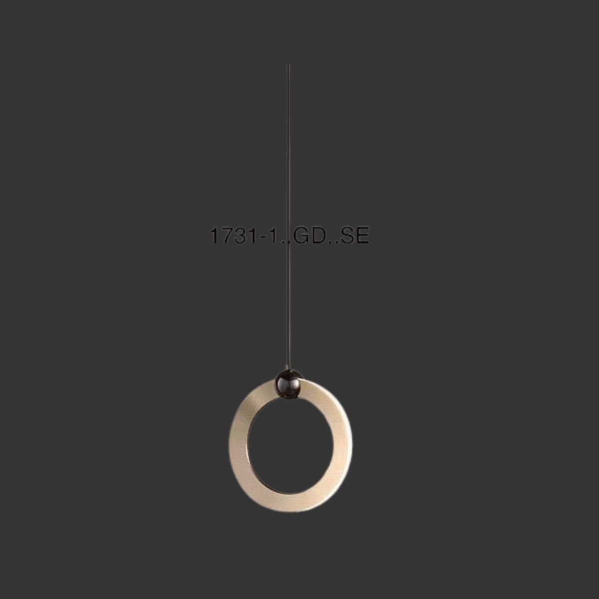 Swing Pendant Lamp 